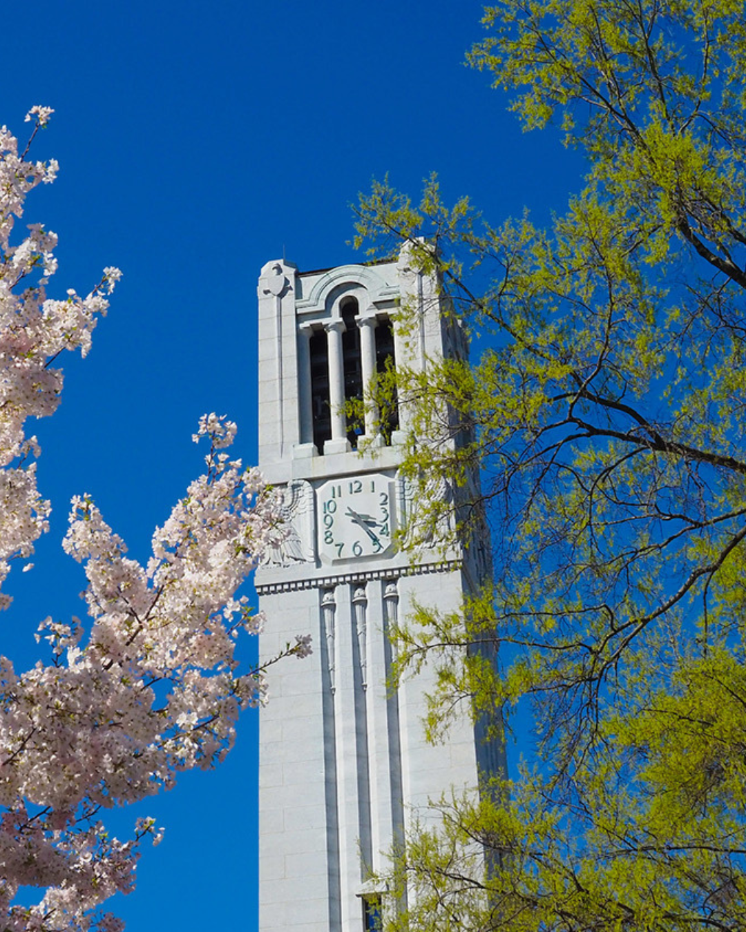 NCSU Bell Tower