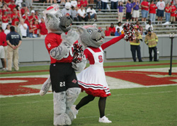 Photo of NCSU mascots